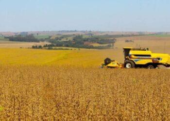 Plano Safra: Agricultura familiar e empresarial terão lançamentos separados no mesmo dia