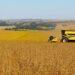 Plano Safra: Agricultura familiar e empresarial terão lançamentos separados no mesmo dia