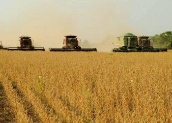 Tocantins divulga dados atualizados da Safra 23/24