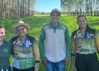 Senar auxilia sucessão nos negócios rurais de família de Almas, no sudeste do estado