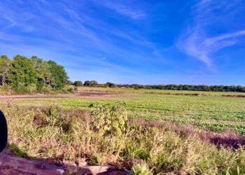 Tocantins terá polo de agricultura irrigada