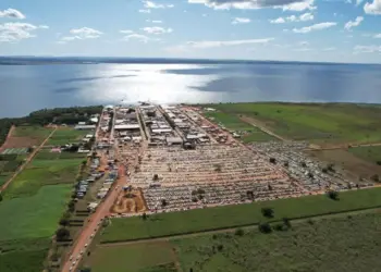 Calendário de eventos agro no Tocantins: Confira as principais feiras, exposições e festas ao longo de 2025