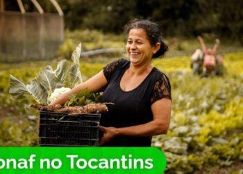 Pronaf 2023/2024 investe R$ 305,6 milhões na agricultura familiar no Tocantins