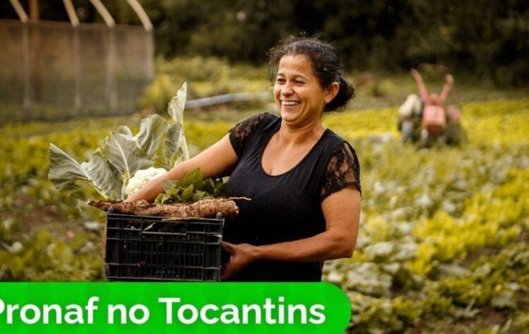 Pronaf 2023/2024 investe R$ 305,6 milhões na agricultura familiar no Tocantins