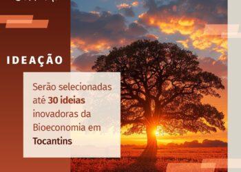 Sebrae anuncia edital para apoiar negócios da bioeconomia no Cerrado em fase de ideação