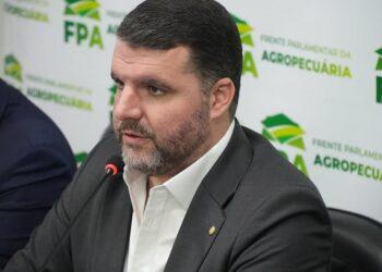 ‘Não vamos assumir culpa injustamente’, declara Lupion sobre impacto da isenção de carnes