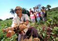 25 de Julho: Homenagem ao Dia do Agricultor Familiar e a sua importância em alimentar o mundo