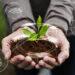 Tecnologia brasileira via satélite oferece solução eficiente para agropecuária