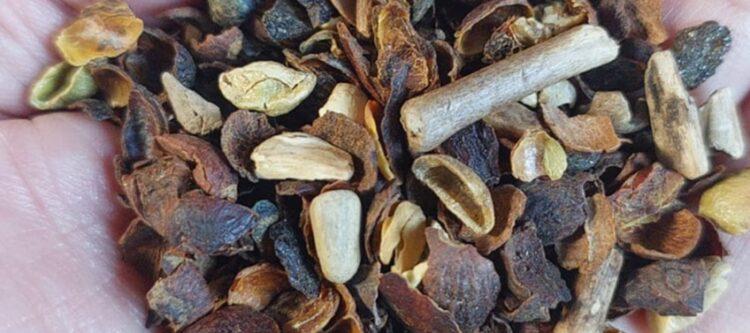 Empresa do Tocantins entra para a lista de cafés considerados impróprios para consumo