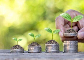 Crédito rural: banco da Amazônia prevê liberar R$ 11 bilhões na safra 2024/25