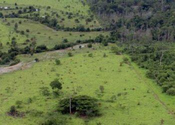 Lei permite a produtor rural usar cadastro ambiental para cálculo do ITR