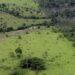 Lei permite a produtor rural usar cadastro ambiental para cálculo do ITR