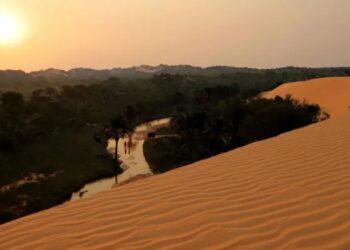 Campanha promove ações de preservação e valorização de parques ambientais no Tocantins