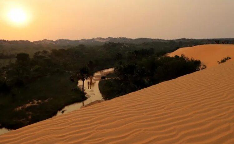 Campanha promove ações de preservação e valorização de parques ambientais no Tocantins