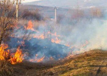 Queimadas: Brasil teve 47 mil quedas de luz causadas por incêndios
