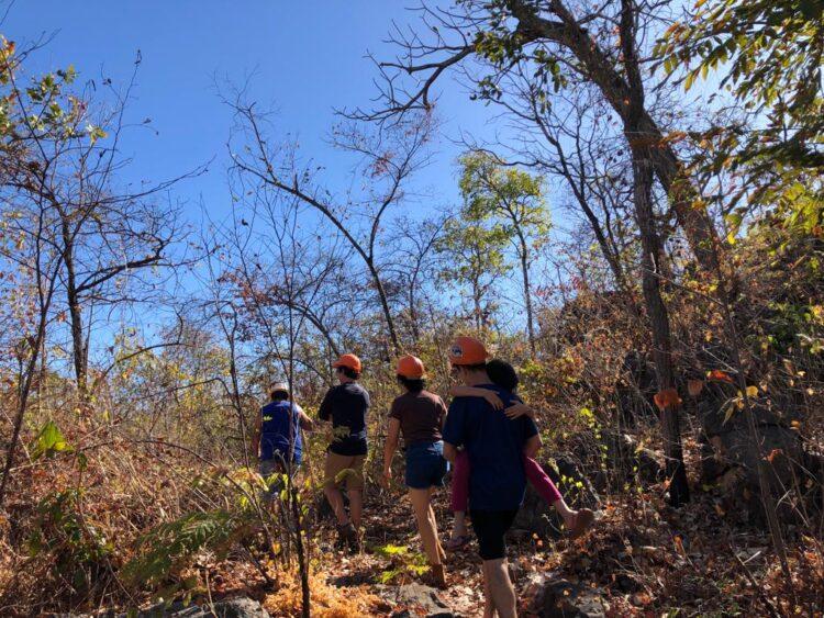 Tocantins participa da Campanha “Um Dia no Parque”