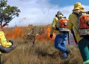Instituto Natureza do Tocantins combate incêndio florestal na APA Serra do Lajeado