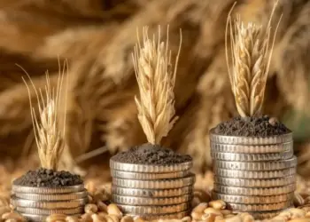Confederação da Agricultura lança fundo exclusivo de microcrédito