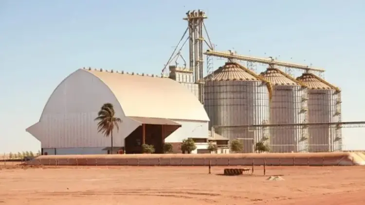 Schmidt Agrícola, empresa de agricultura oferta vagas de emprego na Bahia, Minas Gerais e Tocantins