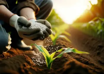 Tocantins abre inscrições para o 6º Workshop de Fertilizantes na Sustentabilidade da Agropecuária