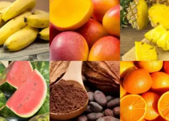 Estado abre inscrições para a 1ª Rota da Fruticultura que percorrerá cinco municípios tocantinenses