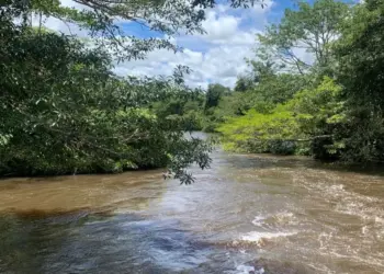 Secretaria de Meio Ambiente e Recursos Hídricos intensifica monitoramento do nível dos rios tocantinenses na estiagem