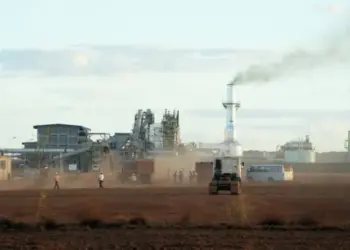 Bunge investirá R$ 530 milhões na expansão de usina no Tocantins e projeta 420 novos empregos