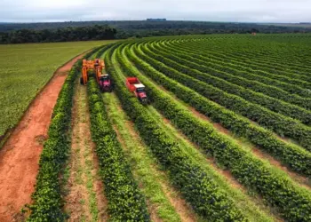 Com ano safra completo, desembolso do crédito rural chega a R$ 400,7 bilhões