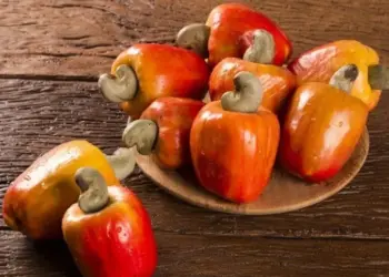 Tocantins promove 1º Festival do Caju na região oeste do Estado