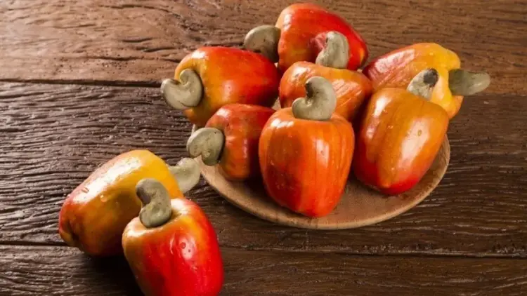 Tocantins promove 1º Festival do Caju na região oeste do Estado