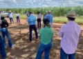 Tocantins abre inscrições para a 3ª edição do “Café no Campo 2024” para pecuaristas e produtores rurais do Bico do Papagaio