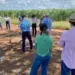 Tocantins abre inscrições para a 3ª edição do “Café no Campo 2024” para pecuaristas e produtores rurais do Bico do Papagaio