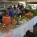 Estado promove 13ª edição da Feira da Colheita com atendimentos sobre aposentadoria rural, salário-maternidade e palestras técnicas em Araguatins