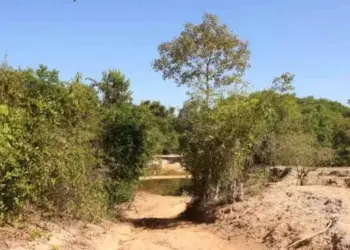 Seca no Tocantins: Baixa nos rios permite travessia de carro na Ilha do Bananal