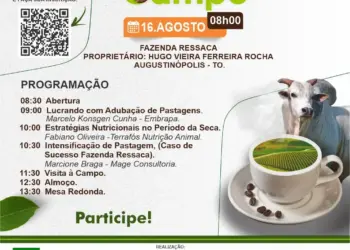 Sebrae participa da 3ª Edição do Café no Campo em Augustinópolis TO