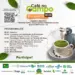 Sebrae participa da 3ª Edição do Café no Campo em Augustinópolis TO