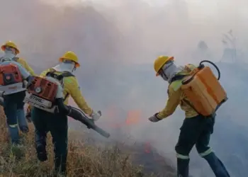 Focos de calor na Amazônia em julho de 2024 tiveram aumento de 98% emrelação ao mesmo mês no passado