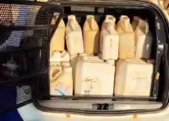 Suspeitos são presos em flagrante por furto de produtos agrícolas em fazenda