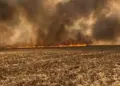 Incêndio de grandes proporções deixa trabalhadores rurais feridos no distrito de Buritirana, zona rural de Palmas