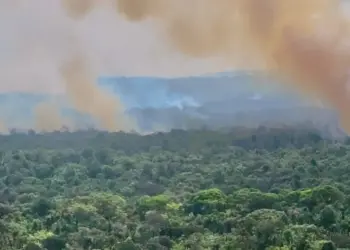 Incêndio florestal atinge a Ilha do Bananal e já consumiu cerca de seis mil hectares de vegetação