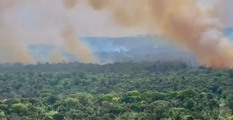 Incêndio florestal atinge a Ilha do Bananal e já consumiu cerca de seis mil hectares de vegetação