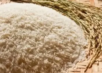 Preço do arroz sobe pelo quarto mês consecutivo