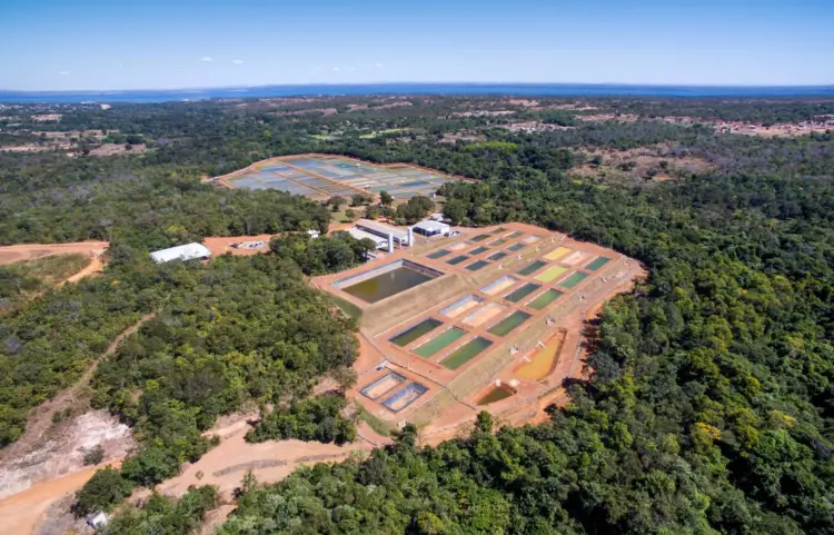 Embrapa Pesca e Aquicultura completa 15 anos de desafios permanentes e avanços conquistados