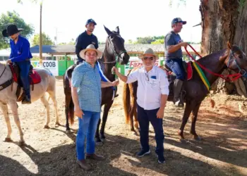 Sindicato Rural de Gurupi promove I Semana do Cavalo com extensa programação