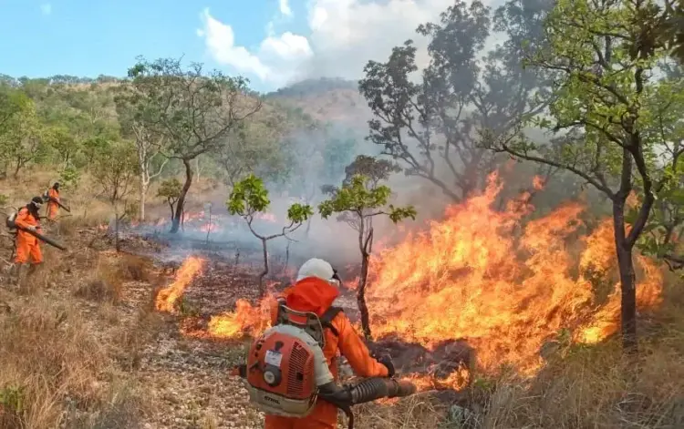 Tocantins registra mais de 1,6 mil focos de queimadas em agosto