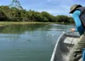 Fiscais devolvem à natureza peixes e quelônios que estavam presos em mais de 2,8 mil metros de redes