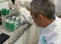Mestrando do Instituto de Pesca está desenvolvendo teste rápido para diagnóstico de doença bacteriana em tilápias