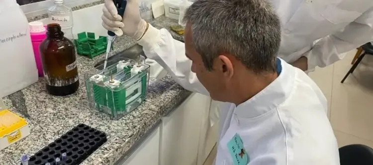 Mestrando do Instituto de Pesca está desenvolvendo teste rápido para diagnóstico de doença bacteriana em tilápias