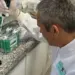 Mestrando do Instituto de Pesca está desenvolvendo teste rápido para diagnóstico de doença bacteriana em tilápias