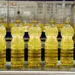Preços do óleo de soja e oleaginosas registram alta; Demanda das indústrias alimentícias e de biodiesel impulsiona aumento